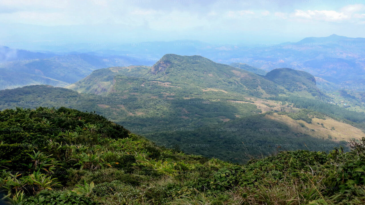 Knuckles Mountain Range Wanderung von Kandy aus