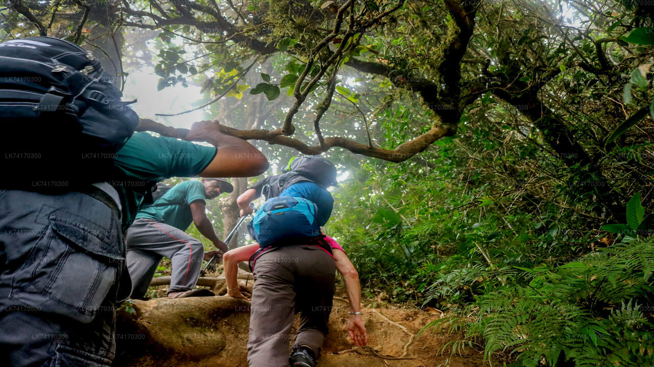 Knuckles Mountain Range Wanderung von Kandy aus