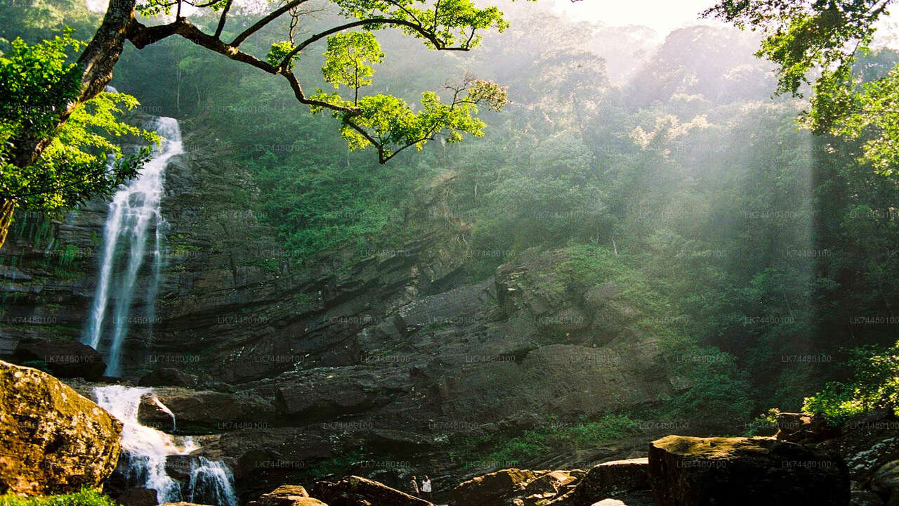Spaziergang durch den Sinharaja-Regenwald