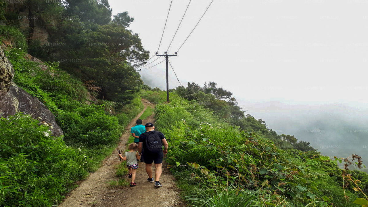 Teufelstreppenwanderung von Ohiya aus