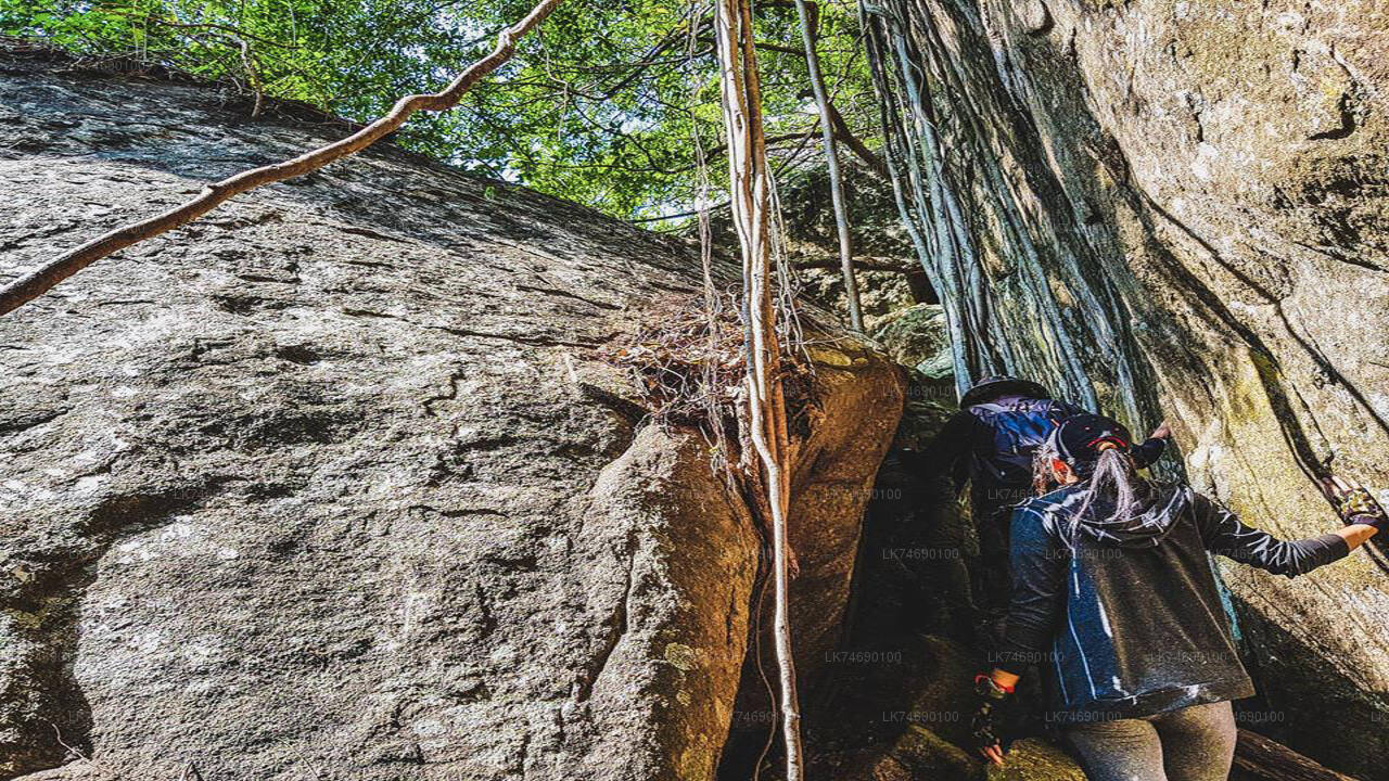 Wanderung zum Danigala Circular Rock von Mahiyanganaya aus