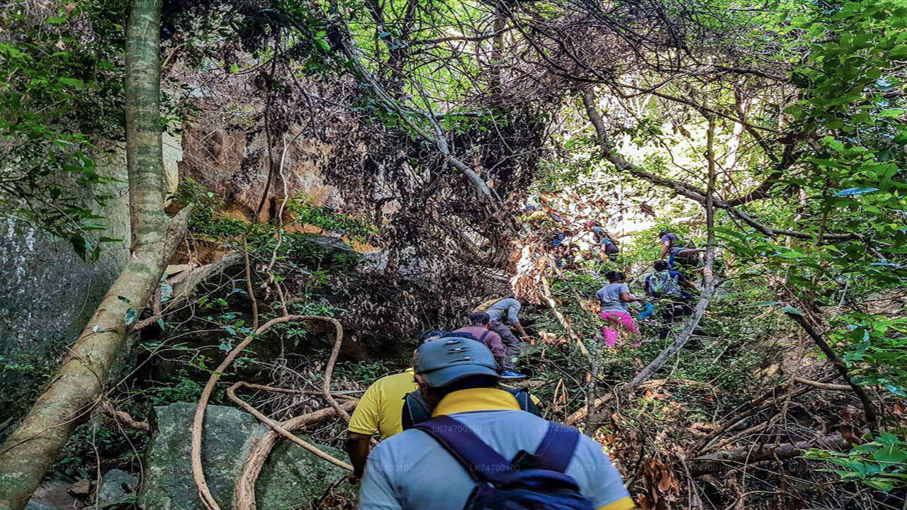 Wanderung von Aaralaganwila zum Danigala Circular Rock