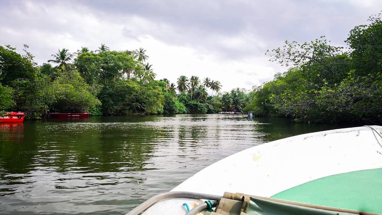 Bootsfahrt zur Vogelbeobachtung im Muthurajawela Marsh vom Seehafen Colombo