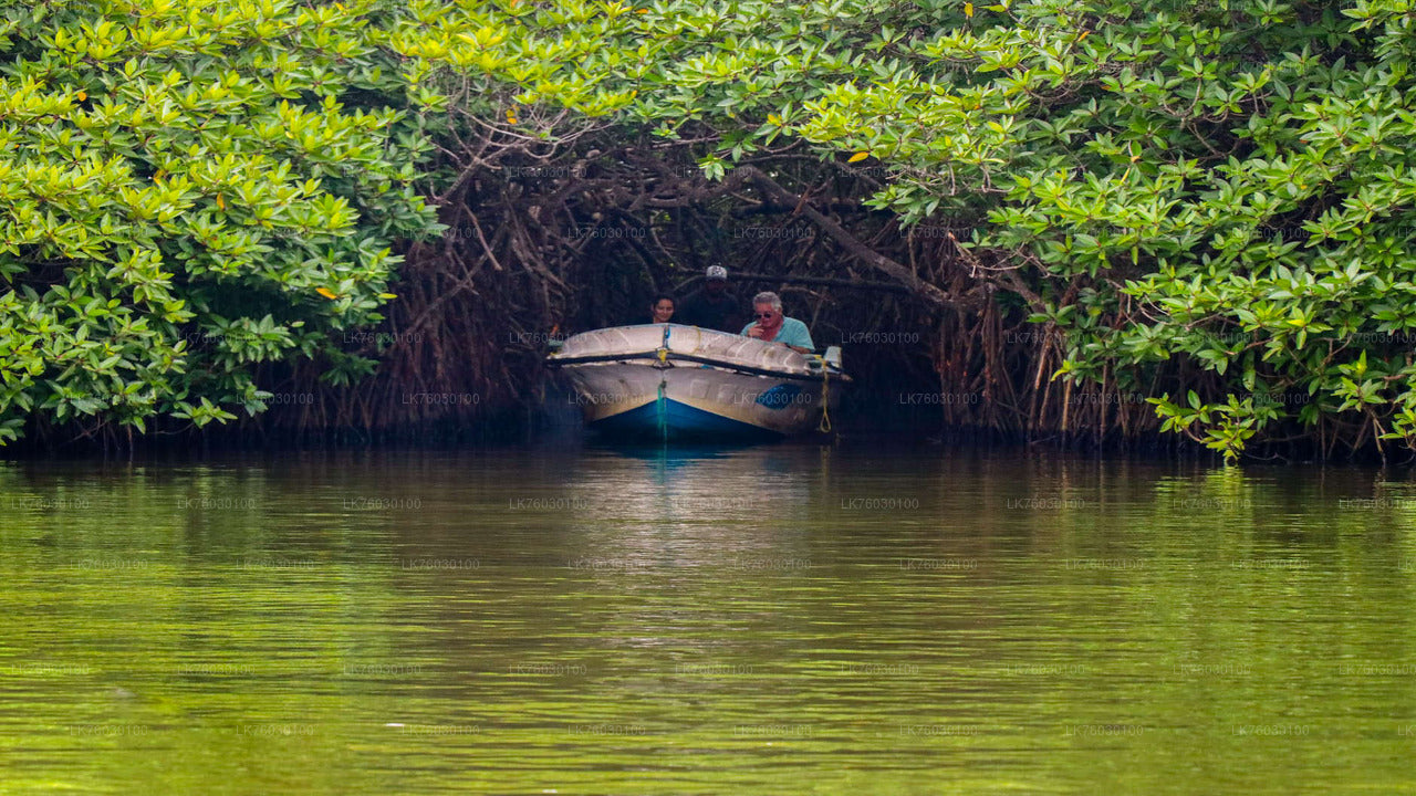 Bootssafari auf dem Madu-Fluss