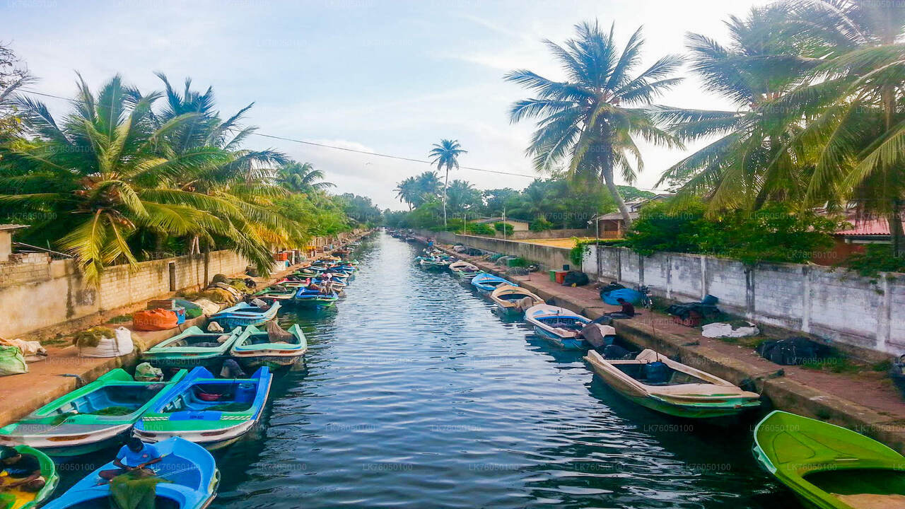 Niederländische Kanalbootstour ab Negombo