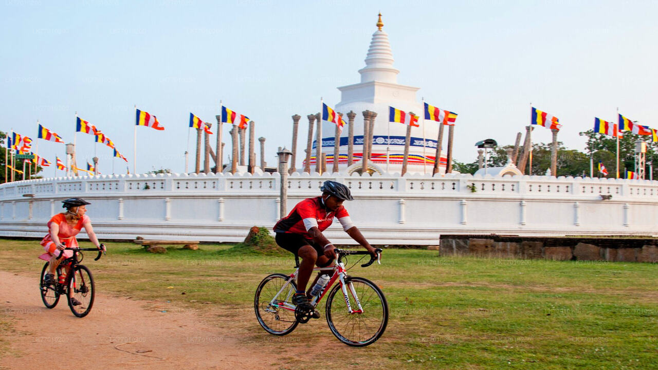 Niederländische Fußspuren-Radtour ab Colombo