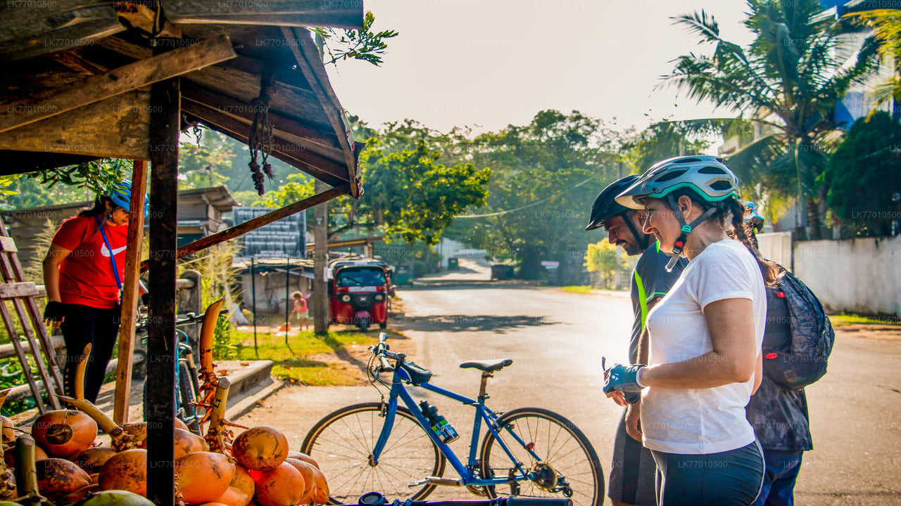 Kingdom Trail-Radtour ab Colombo