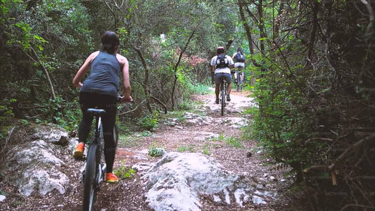 Urban Jungle Trail-Radtour ab Colombo