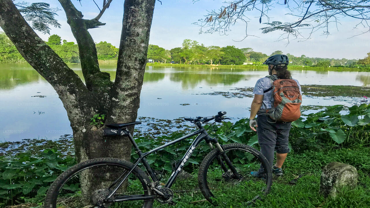 Radfahren im Thalangama-Feuchtgebiet