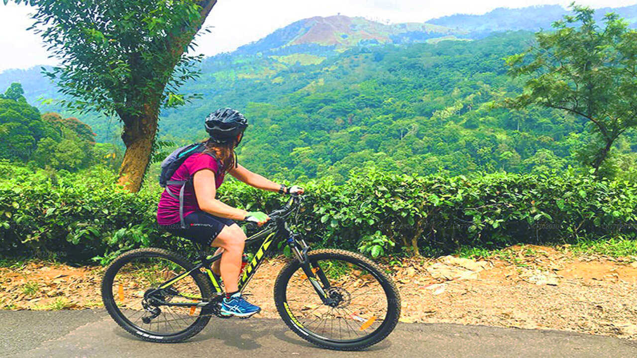 Radtour durch das Dorf Meemure ab Kandy