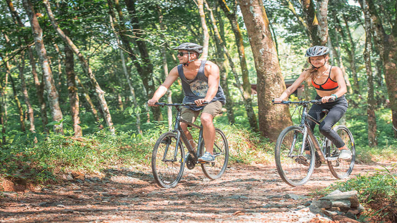 Radtour durch das Dorf Meemure ab Kandy