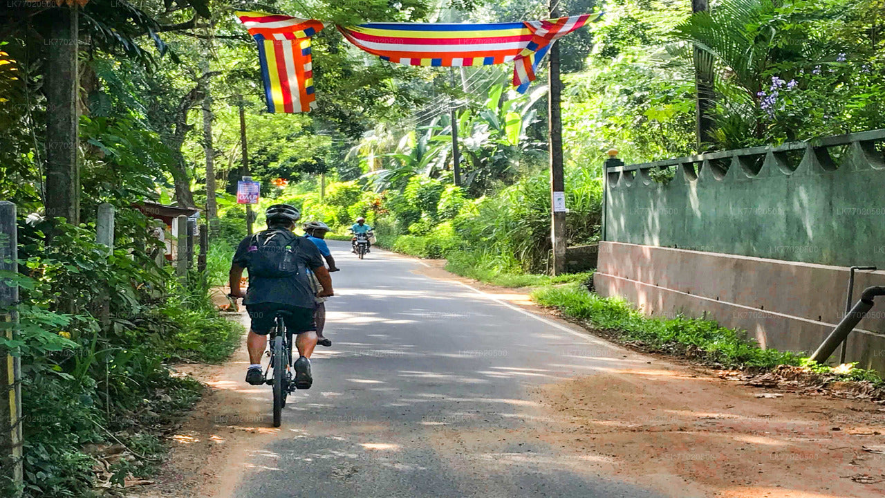 3-Temple Loop-Radtour ab Kandy