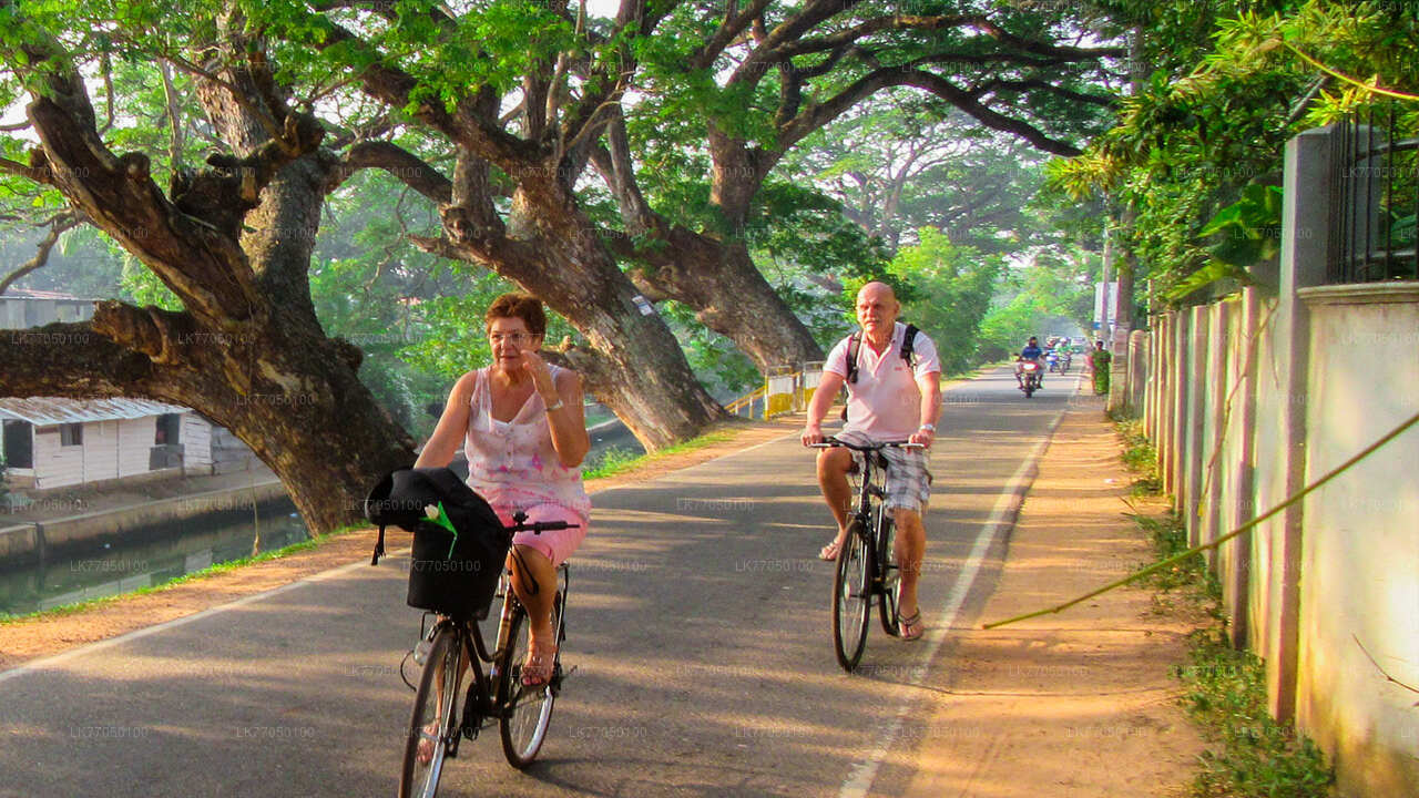 Fischerdorf mit dem Fahrrad von Negombo