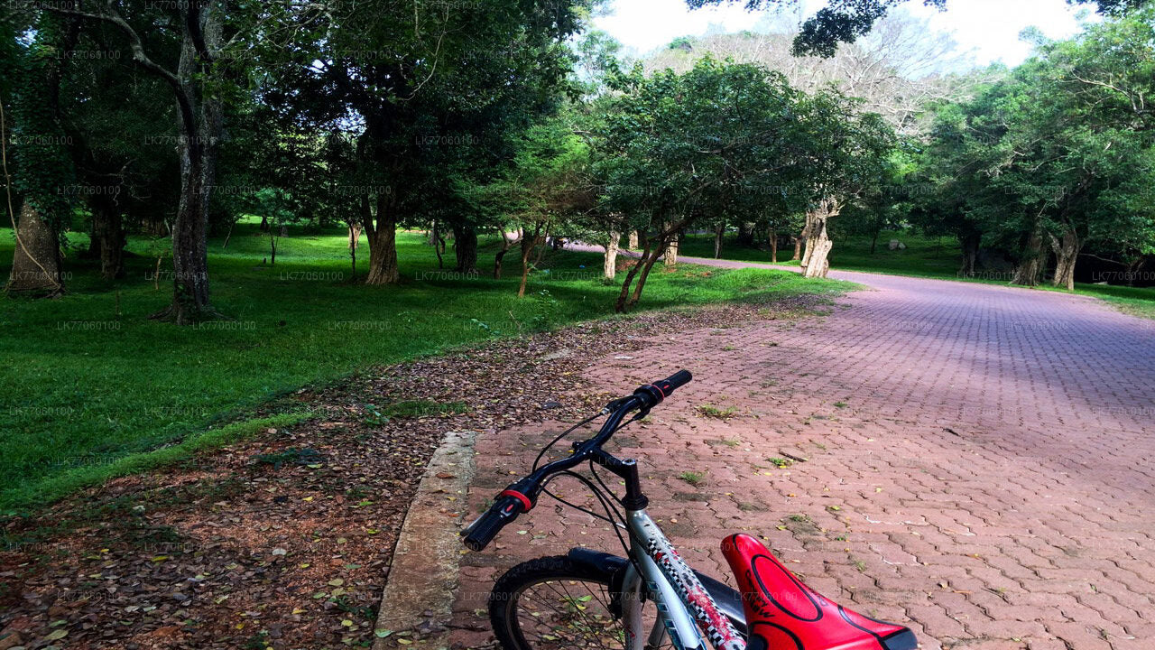Radfahren ab Anuradhapura