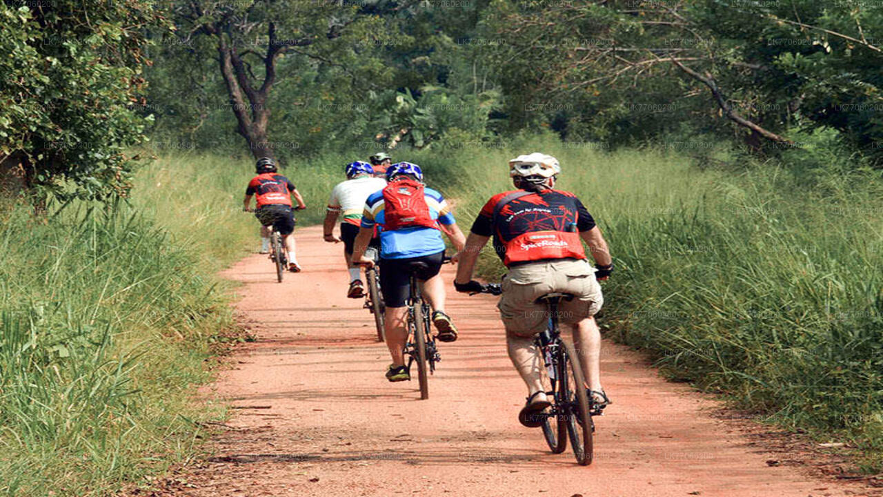Fahrrad- und Kochvorführung aus Anuradhapura
