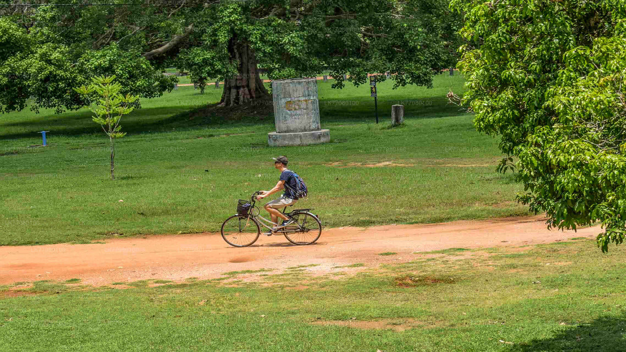 Radfahren ab Mirissa