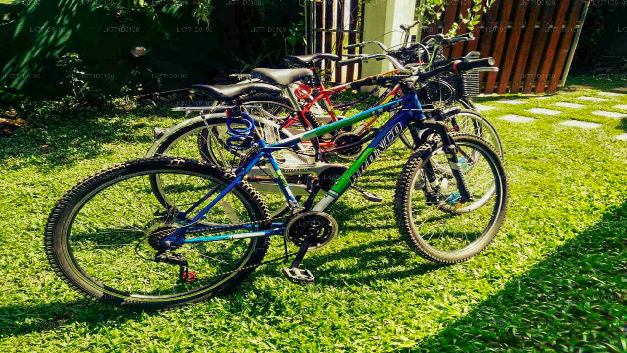 Radfahren von Kitulgala