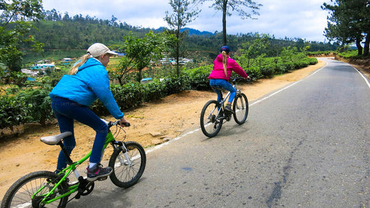 Radfahren von Nuwara Eliya