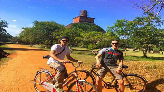 Radtour durch antike Ruinen von Polonnaruwa