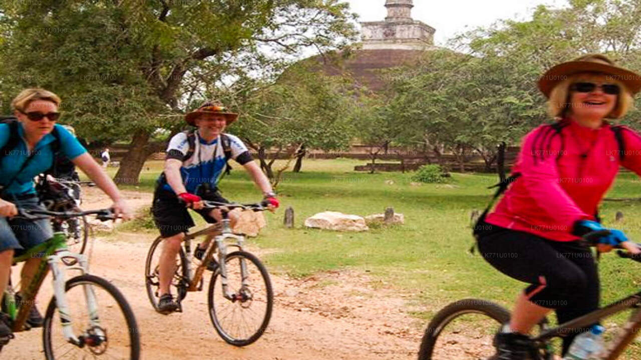 Radtour durch antike Ruinen von Polonnaruwa