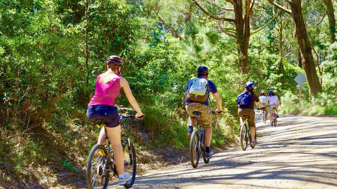 Urban Jungle Trail-Radtour ab Mount Lavinia