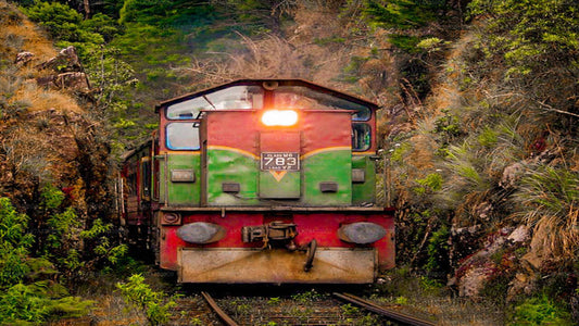 Weiterfahrt mit dem Zug von Nanu Oya nach Kandy (Zug Nr. 1016 „Udarata Menike“)