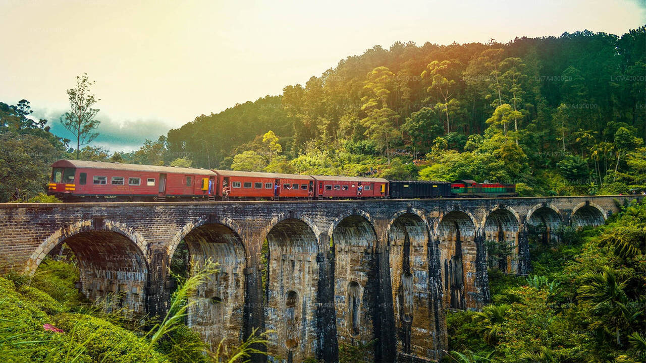 Weiterfahrt mit dem Zug von Nanu Oya nach Kandy (Zug Nr. 1016 „Udarata Menike“)