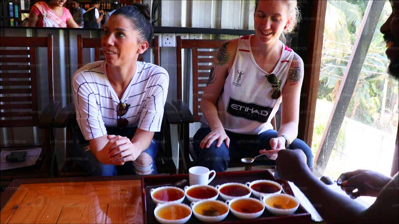 Verkostung von Ceylon-Tee aus Nuwara Eliya