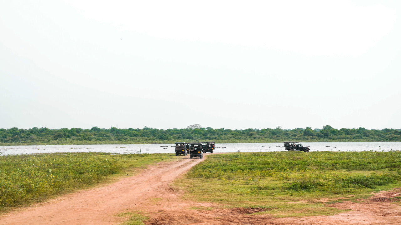 Safari im Udawalawe-Nationalpark ab dem Hafen Hambantota