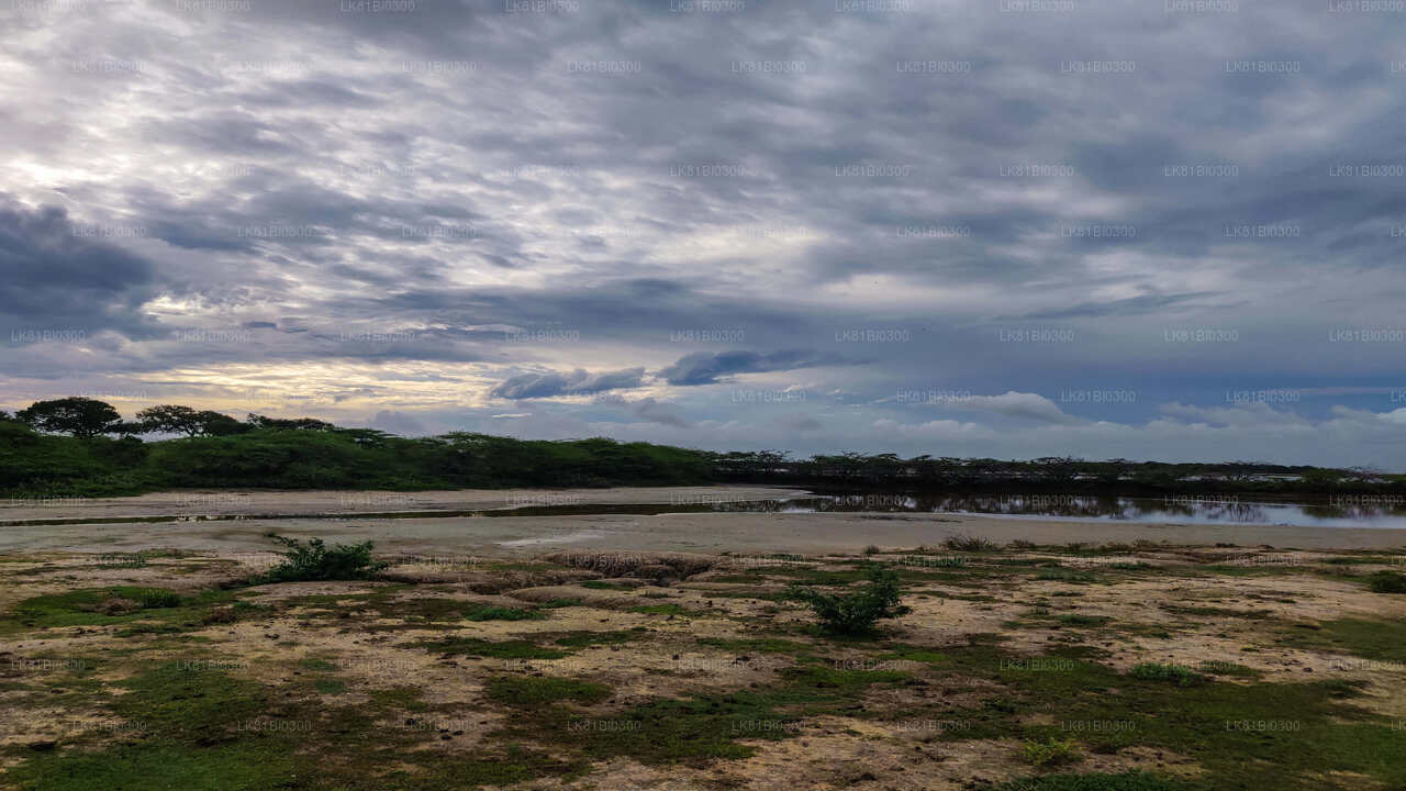 Safari im Bundala-Nationalpark vom Hambantota-Seehafen