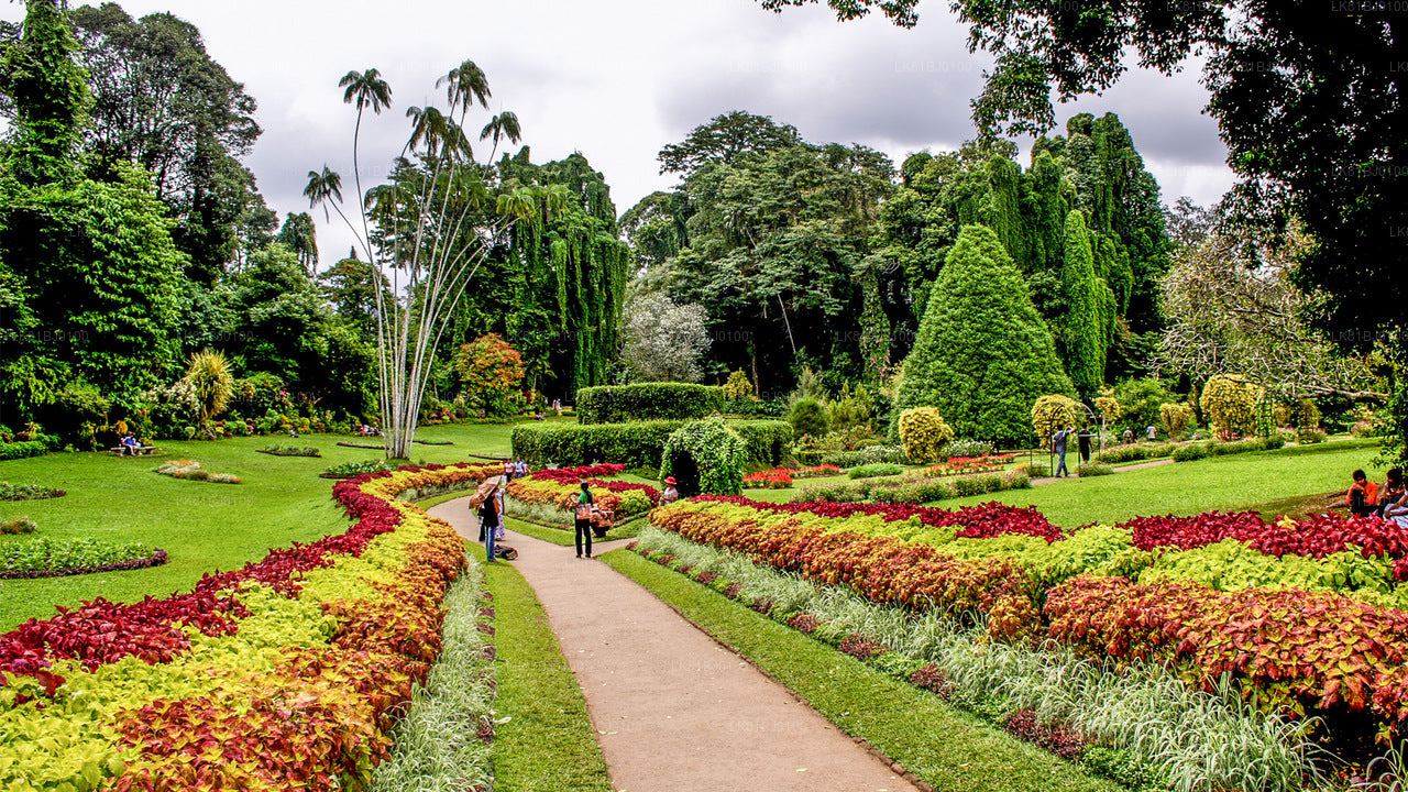 Stadtrundfahrt durch Kandy ab dem Hafen von Colombo