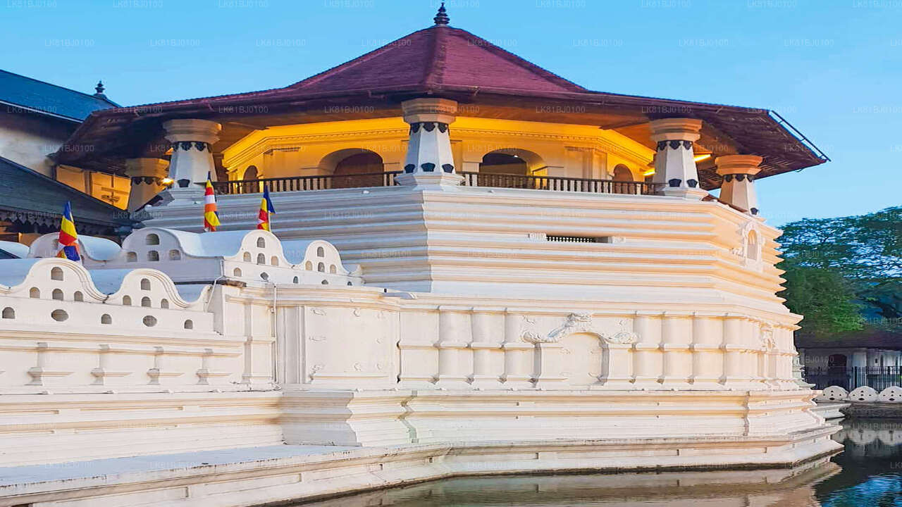 Stadtrundfahrt durch Kandy ab dem Hafen von Colombo