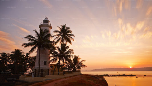 Küstenfahrt nach Galle vom Seehafen Colombo