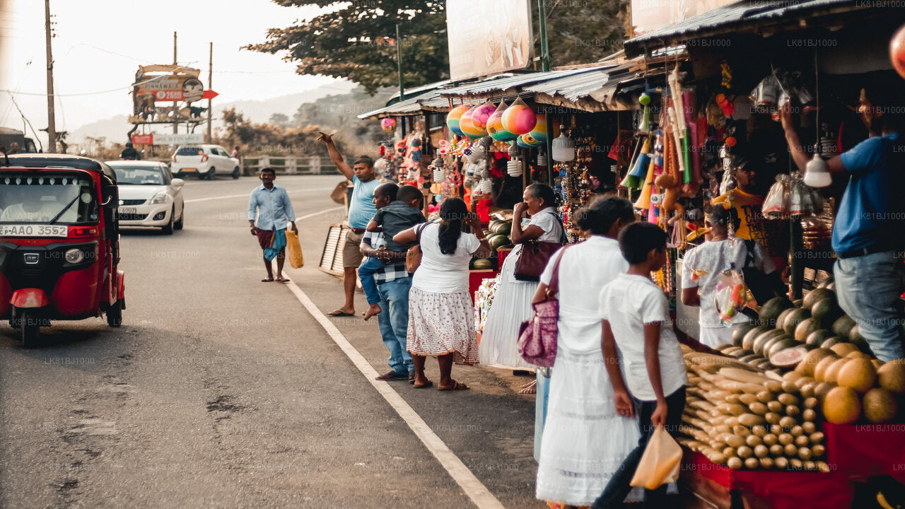 Stadtrundgang in Colombo mit einem Einheimischen vom Hafen von Colombo