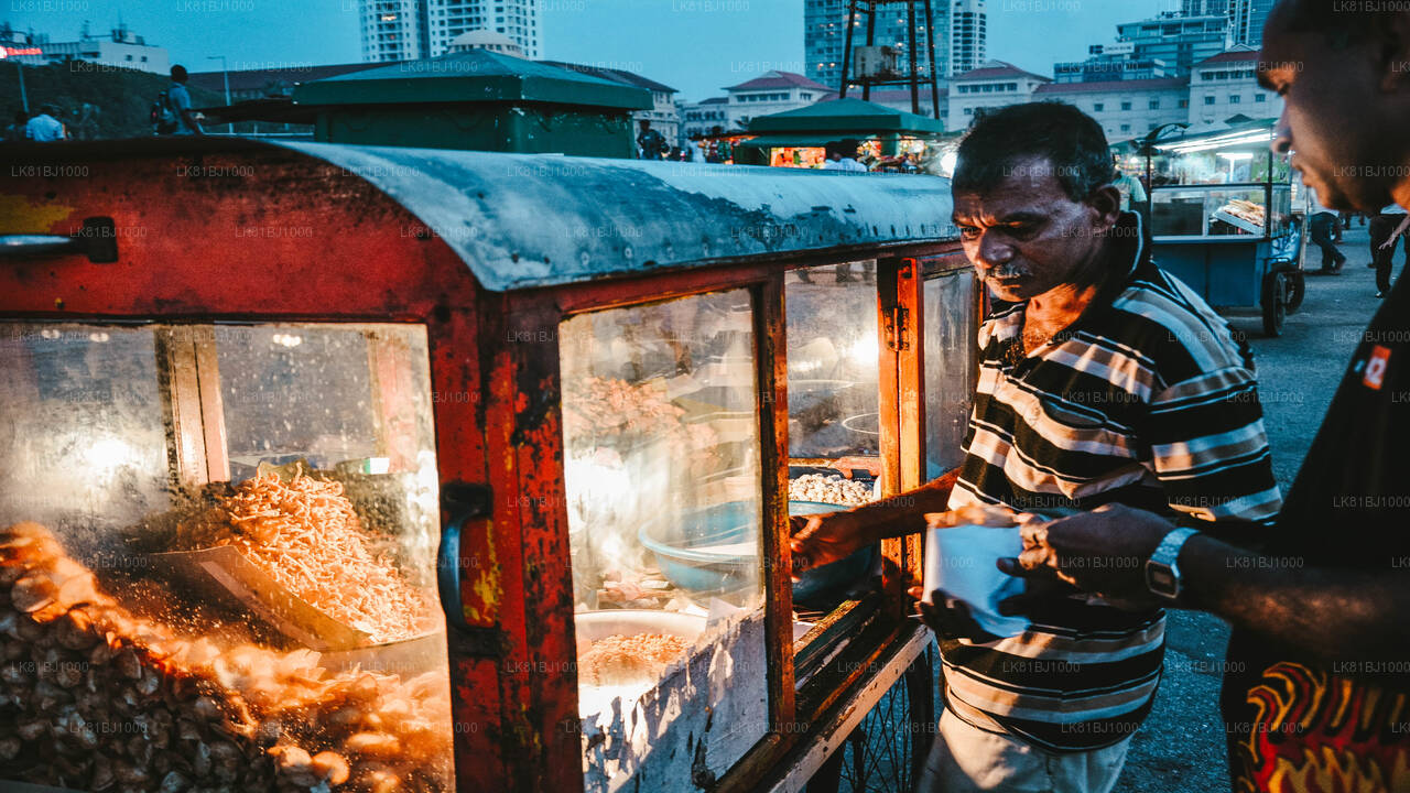 Stadtrundgang in Colombo mit einem Einheimischen vom Hafen von Colombo