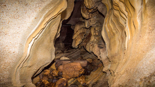 Erkunden Sie die Pannila-Höhle von Colombo aus