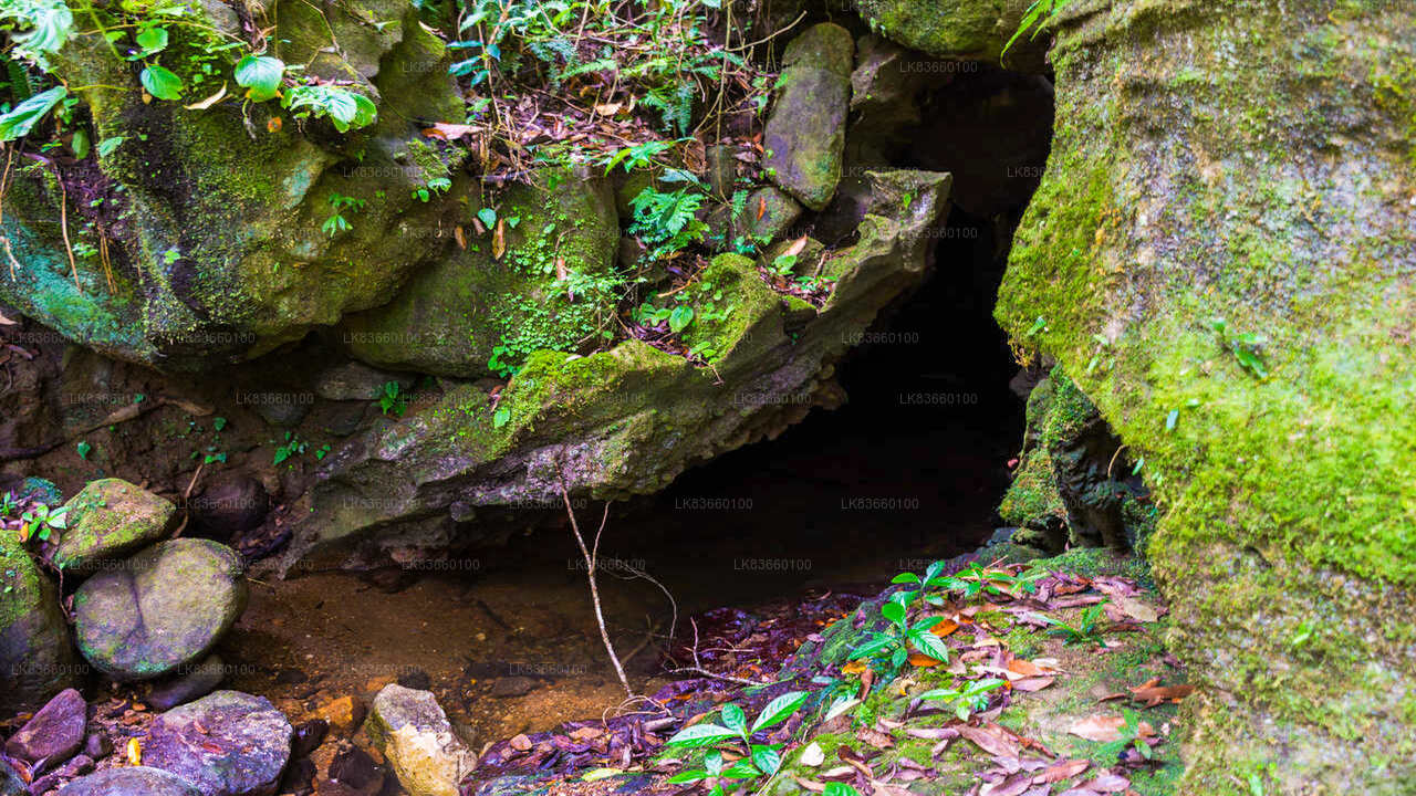 Erkunden Sie die Pannila-Höhle vom Mount Lavinia aus