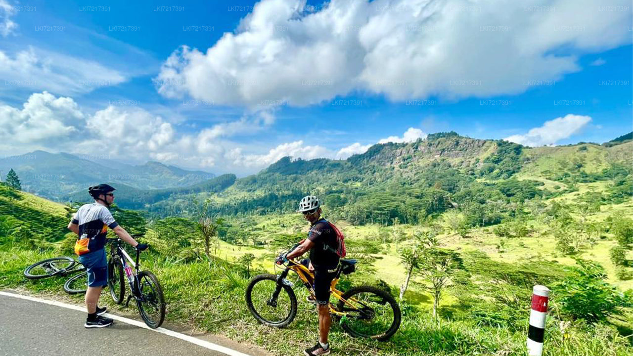 Nuwara Eliya Highlands Radtour ab Kandy
