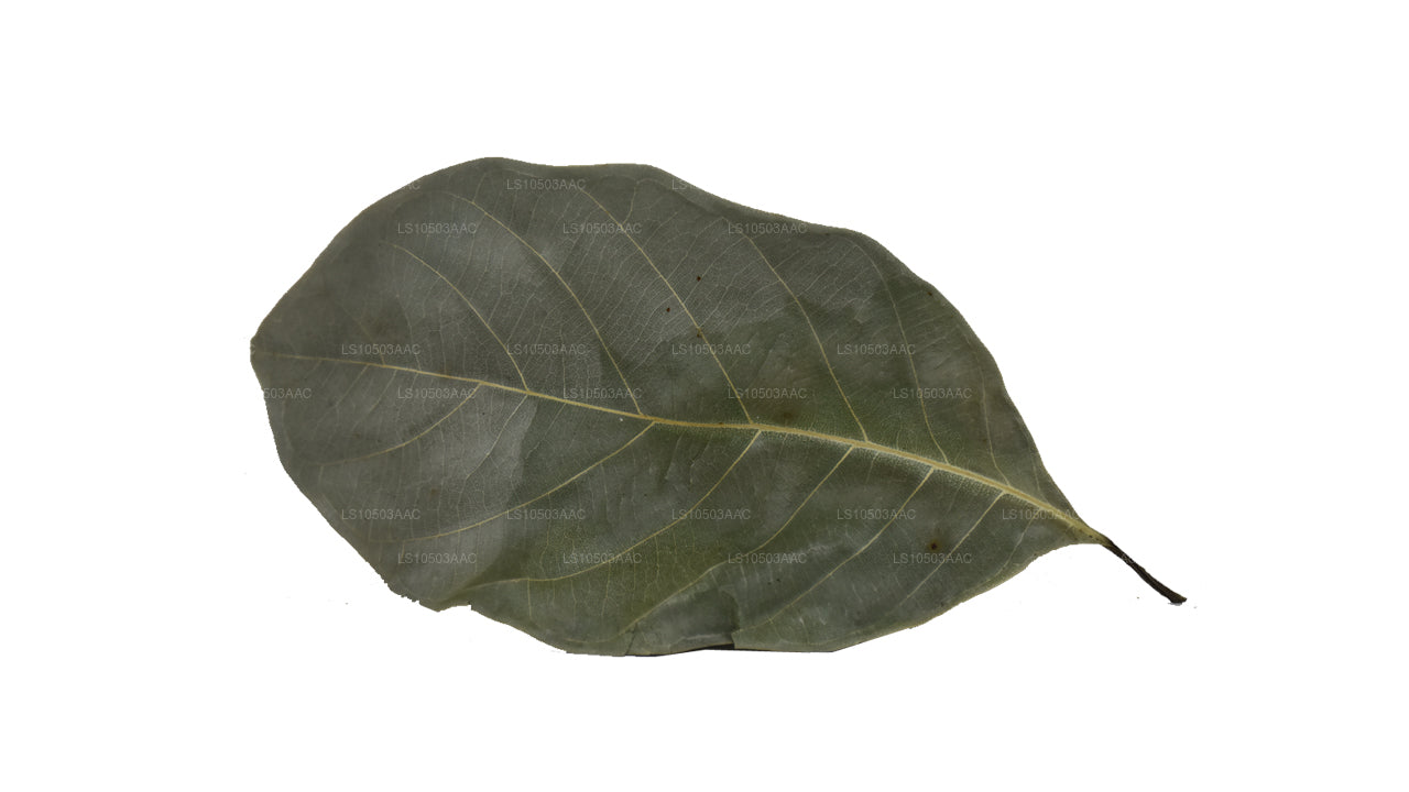 Lakpura getrocknete Jackfruchtblätter, 100 % biologisch (250 g)