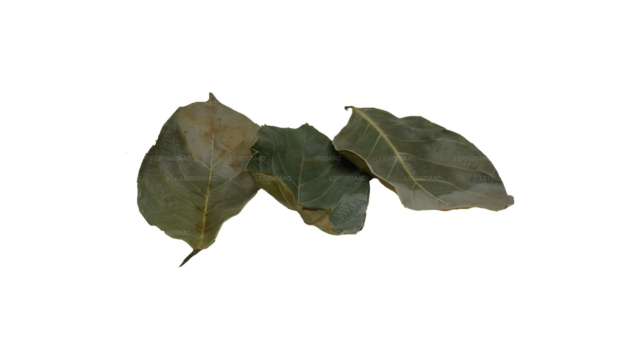 Lakpura getrocknete Jackfruchtblätter, 100 % biologisch (250 g)