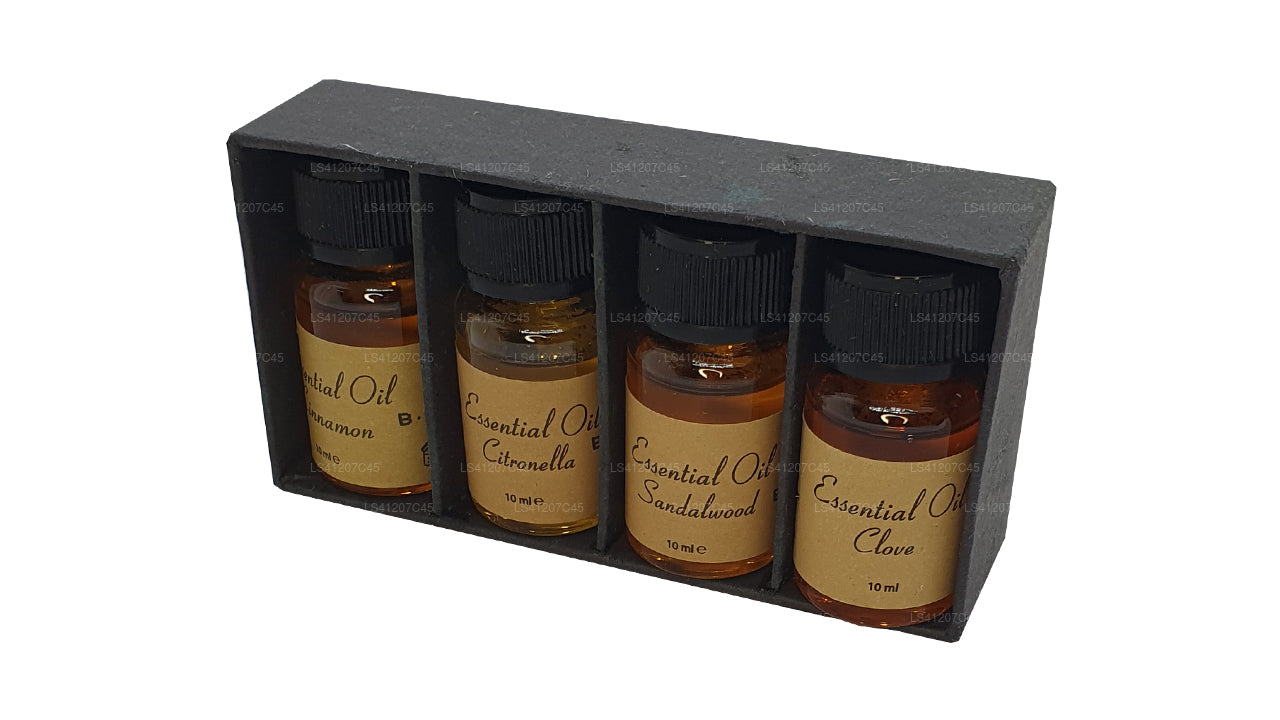 Siddhalepa Packung mit ätherischen Ölen (4 x 10 ml)