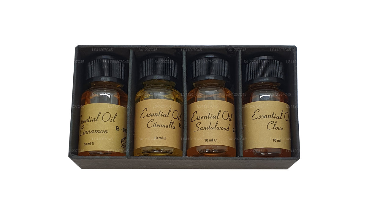 Siddhalepa Packung mit ätherischen Ölen (4 x 10 ml)