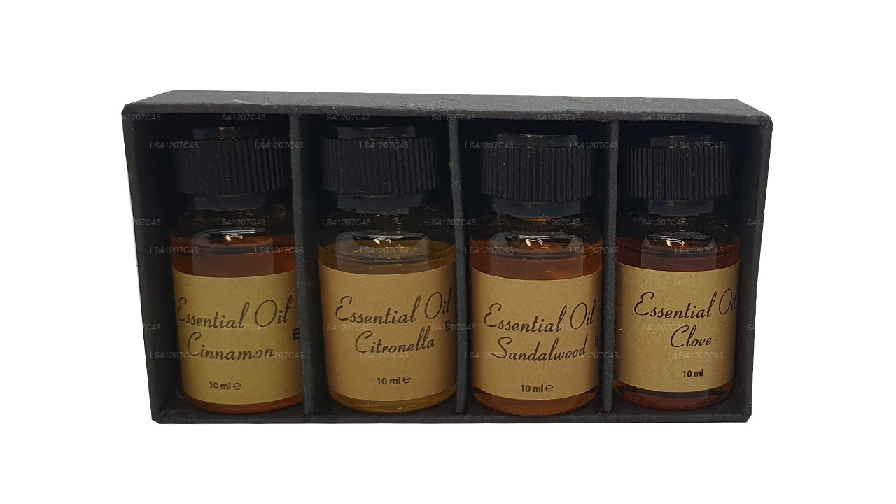 Siddhalepa Packung mit ätherischen Ölen (4 x 10 ml)