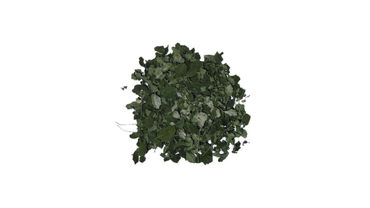 Lakpura Dehydrierte Moringa Oleifera-Blätter (100 g)