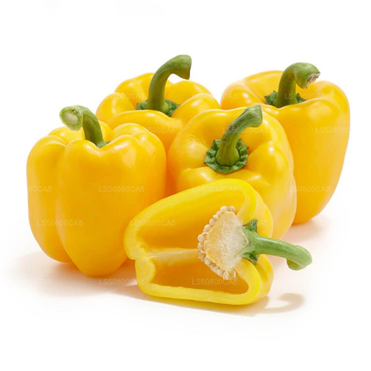 Gelber Paprika (100g)