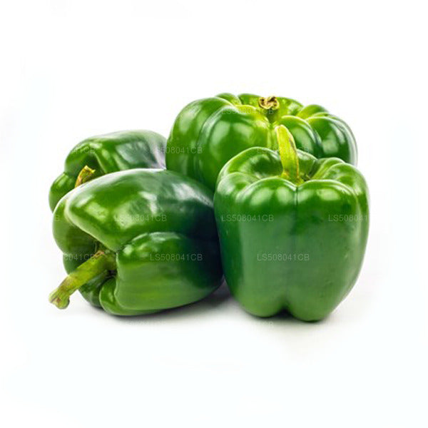 Grüner Paprika (100g)