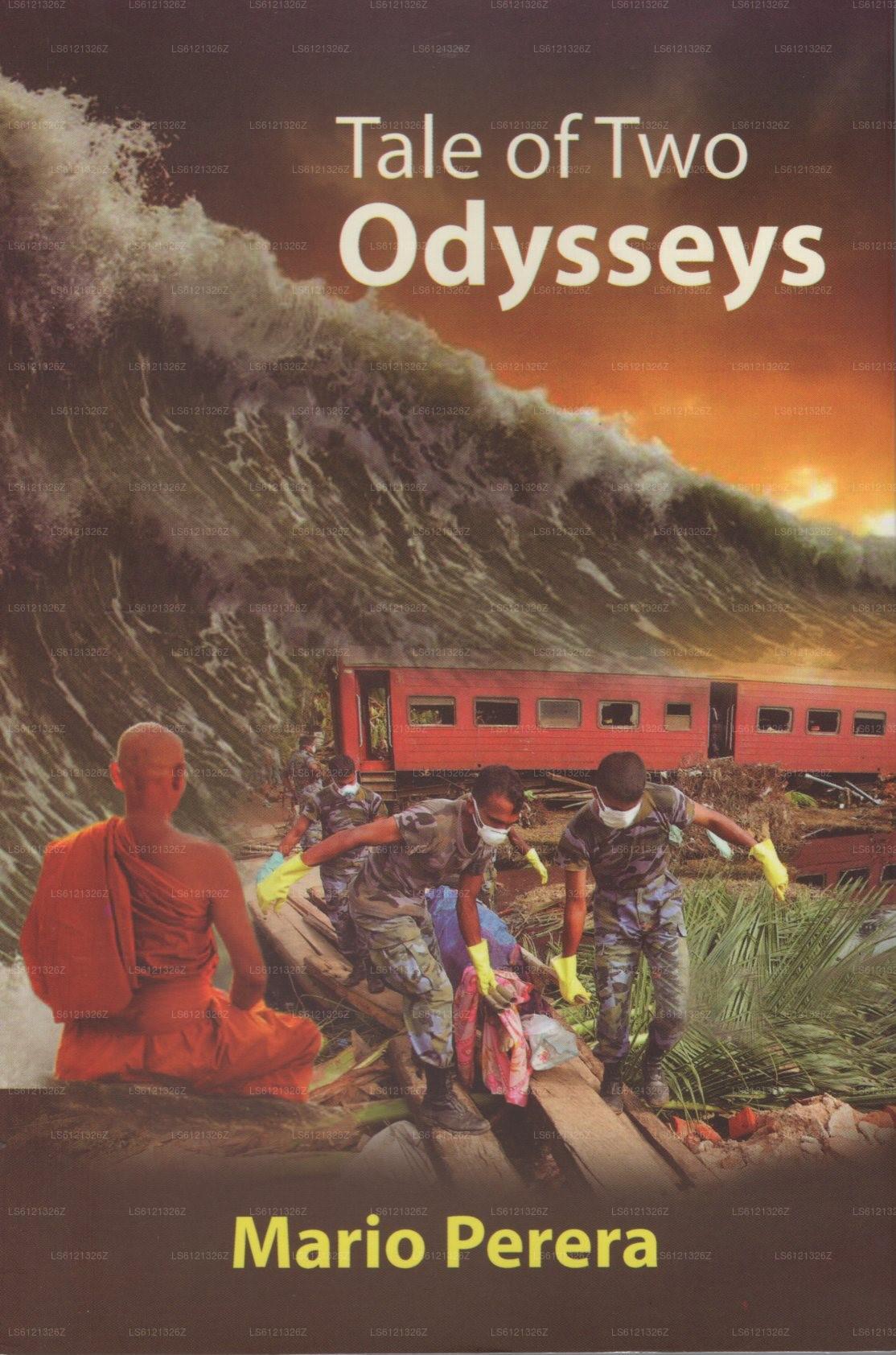 Geschichte zweier Odysseen (Roman)