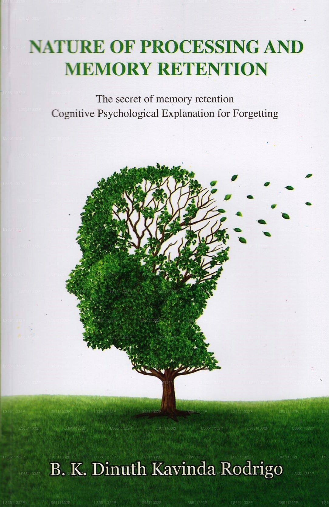 Natur der Verarbeitung und Gedächtniserhaltung (Das Geheimnis der Gedächtniserhaltung, kognitiv-psychologische Exp 