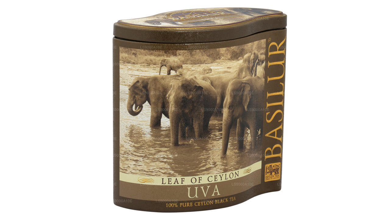 Basilurblatt aus Ceylon „Uva“ (100 g) Caddy