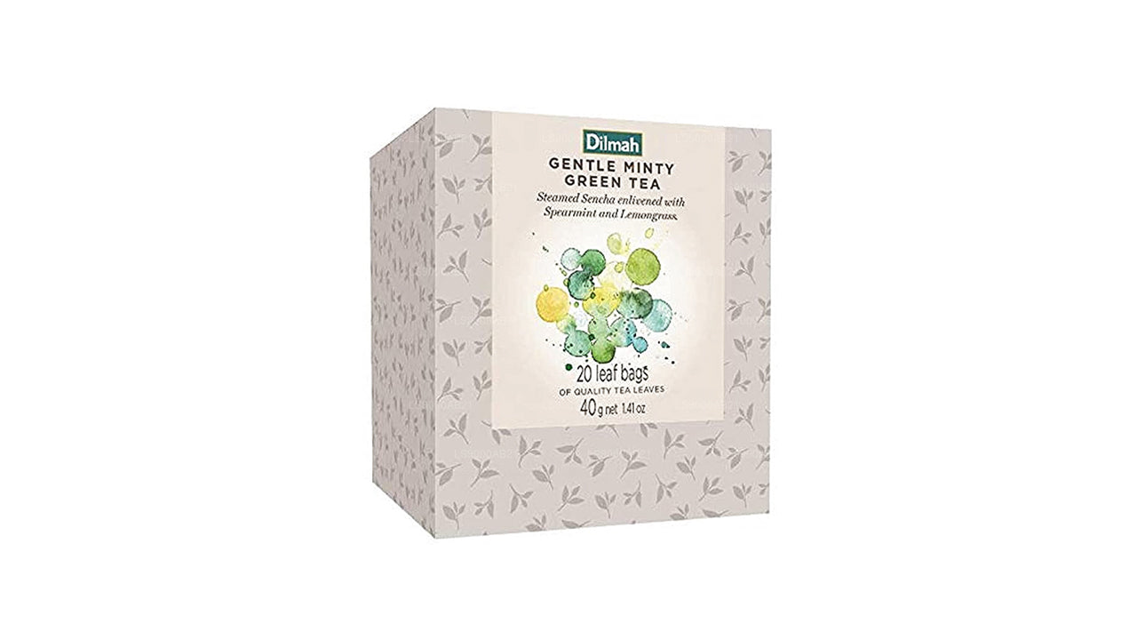 Dilmah Vivid Gentle Minty Green Tea Teebeutel-Nachfüllpackung (40 g), Box